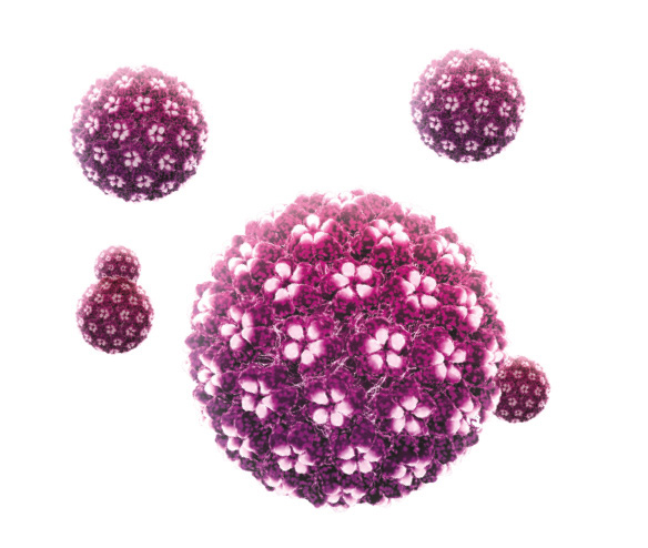 Schematyczny model wirusa HPV